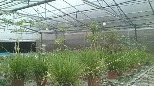 首页| 6008集团官方网站有限公司