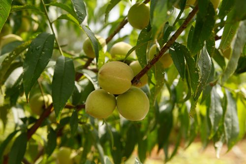 首页| 6008集团官方网站有限公司