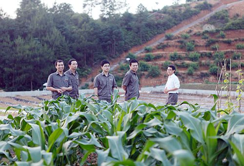 首页| 6008集团官方网站有限公司