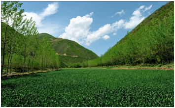 首页| 6008集团官方网站有限公司