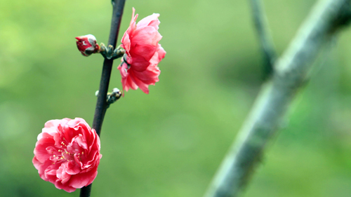 首页| 6008集团官方网站有限公司