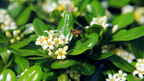 首页| 6008集团官方网站有限公司