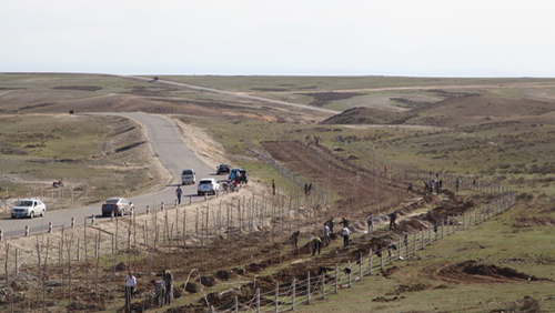 首页| 6008集团官方网站有限公司