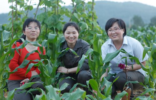 首页| 6008集团官方网站有限公司