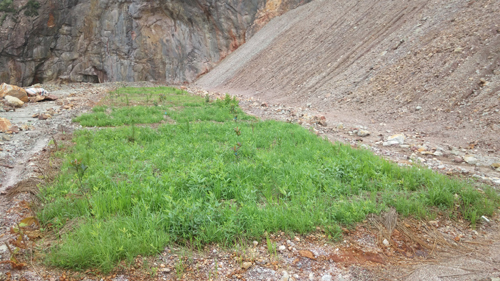 首页| 6008集团官方网站有限公司