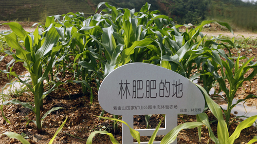 首页| 6008集团官方网站有限公司