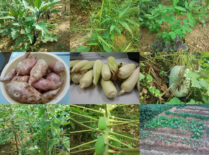 首页| 6008集团官方网站有限公司