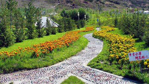 首页| 6008集团官方网站有限公司