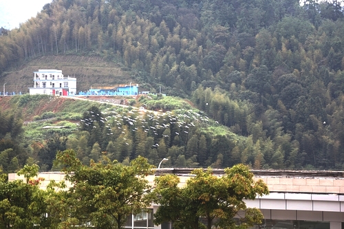 首页| 6008集团官方网站有限公司