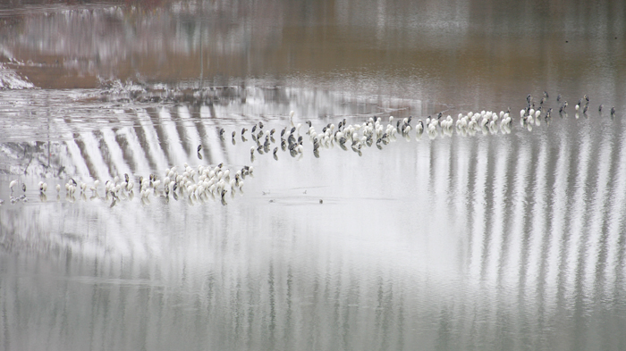 4bd489f80d3d49b8854361455452ac4f