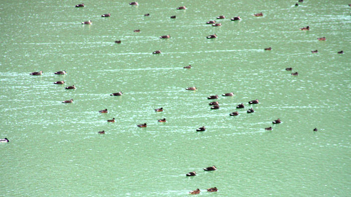 7b7459ed91044349b4666430ad43eff9