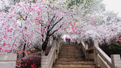 cd2504cbd39146b0ae2e0a8fd4674e18