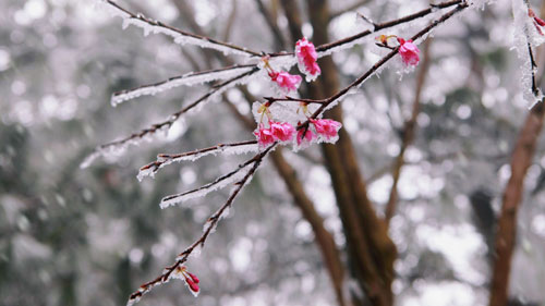 ff48c62ed76d468c9776fe6cd1dfe511