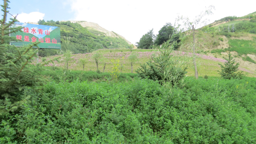 35eaf4eaba8f4c68b7b82a11363ce9bb