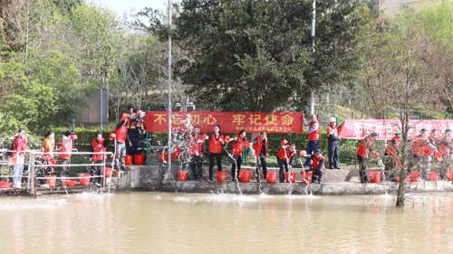 2e046a13eae54ce0a14b123cf979bbc4