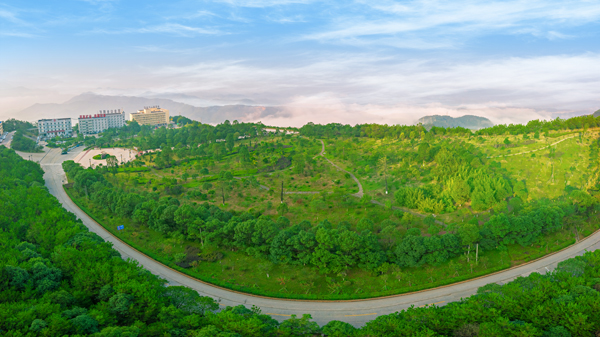 4614eba146fa481ea42dfdeed9b691f5