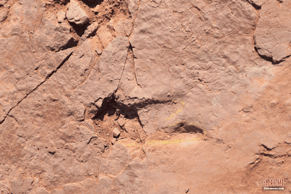 0f3a89734a04434bbd53a7127ce124a5