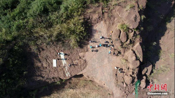 8a11137b57ae4014971ec9e9b395b80b