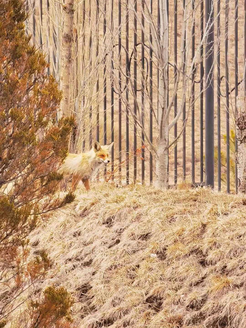 15356676b29e49b3866dca09fdaf4dc6