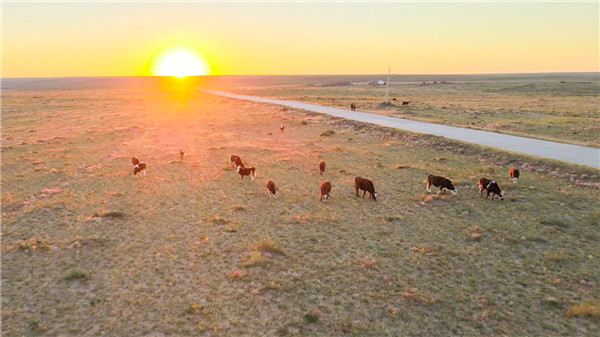 2c0c5fcb364445afa9c1db14d89dc02d