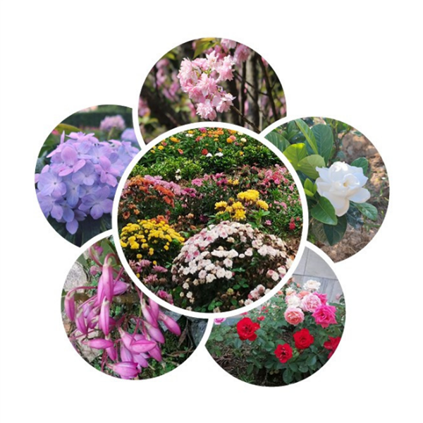 43736db5b41844cbb640f0a13af22cde