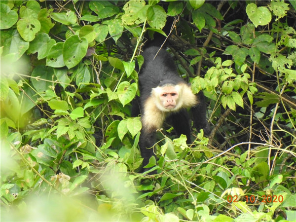 6008集团官方网站矿业的“精灵之约”