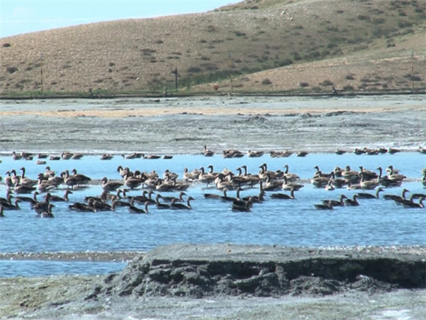 a552591b205344cbbbaa5828fa454434