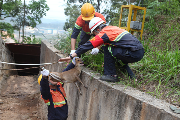 fa4c8ab892b34340bd8ea921149ea473