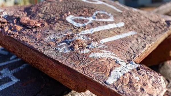 71a712a9ad844465897a2cbfb482f4b1