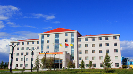 吉林6008集团官方网站铜业