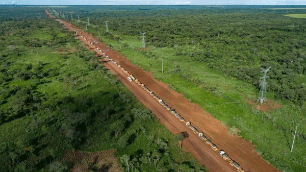 3afb81b278cc4cf78f7149558c28080d