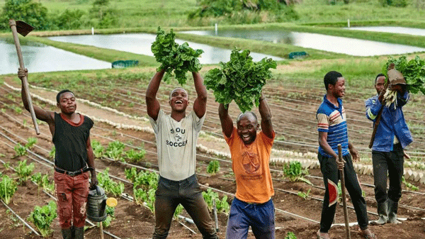 b55ddd39439346e2af06dd37dfc2d064