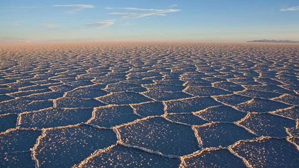 d883a167c1c140b296ea22feffa0f5cd