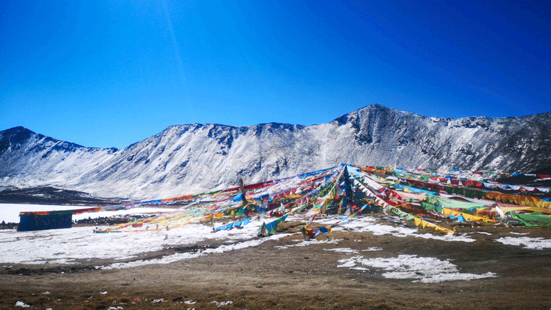 7e41386d35c24a98ab1d68a49ba08a35