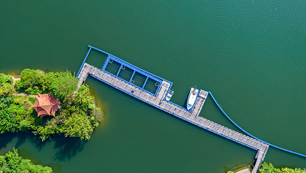 首页| 6008集团官方网站有限公司