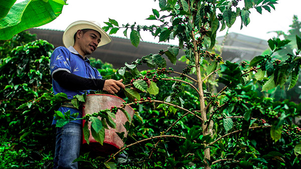 e3a23929f48241689718fa33aa6bd4ea