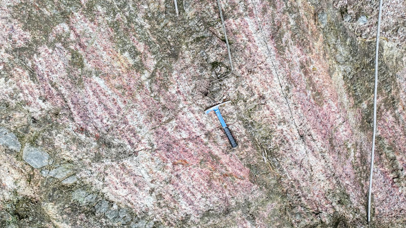 a6e774b4c31849169e1fc37e28902390