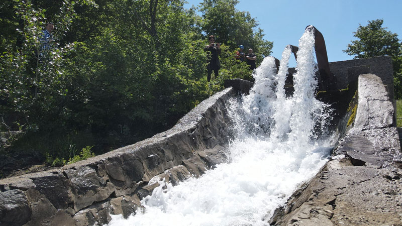 b4c52daed6284bd9b693e009be9d929b