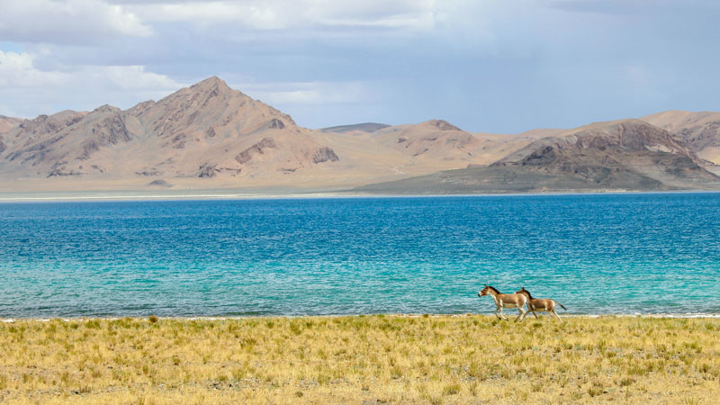 36d696cd7d5d4af09cc32875f0b34798