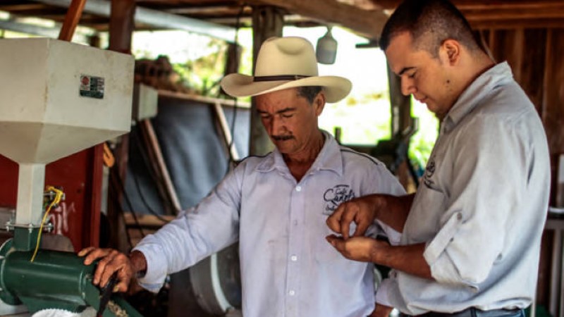 大陆黄金的外地化创业扶持和农业开展妄想