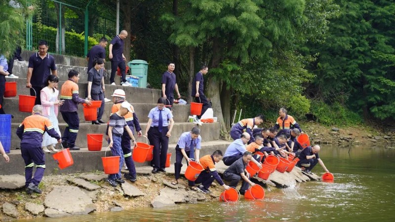 82f9f8a04b834c07bde698e779bf3bdd