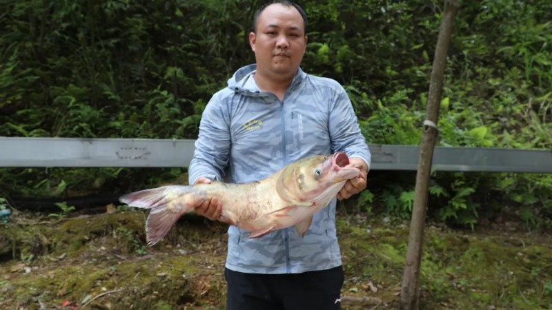 c7eb58d2bc474bafac7cbe01d1f2db58