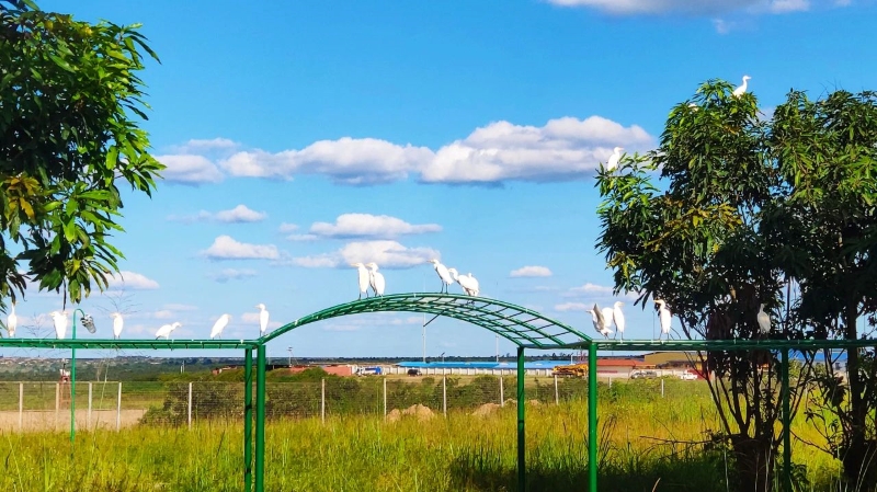 一带一起十周年，，，6008集团官方网站矿业以配合开展实现互利共赢