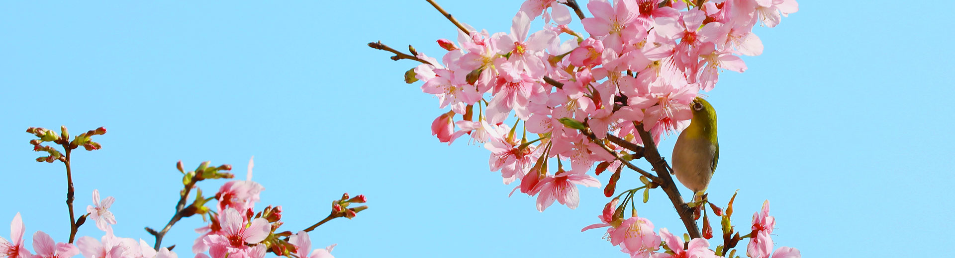 6008集团官方网站全媒体