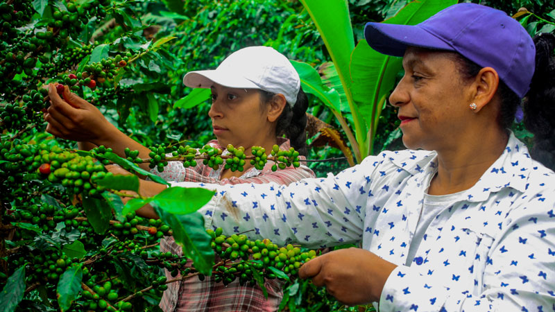 首页| 6008集团官方网站有限公司