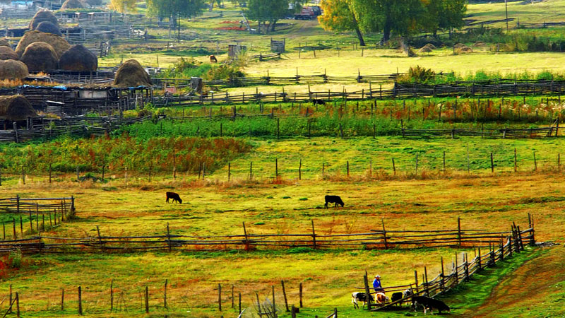 首页| 6008集团官方网站有限公司