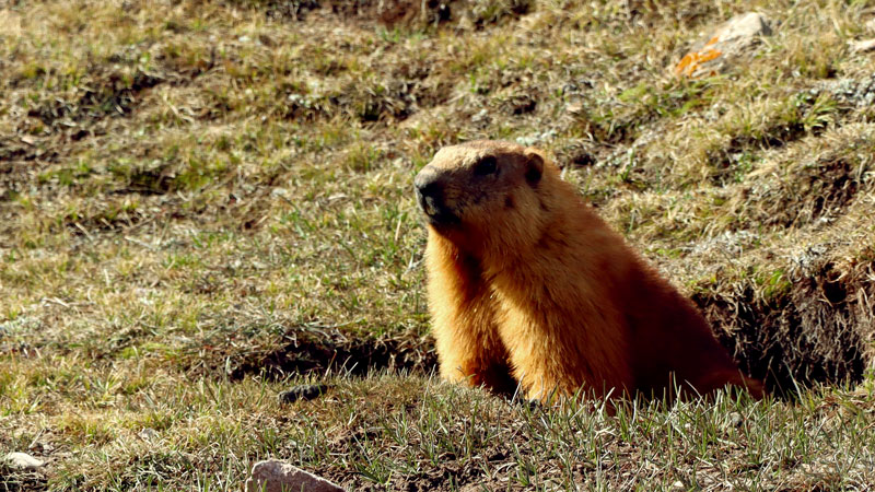 首页| 6008集团官方网站有限公司