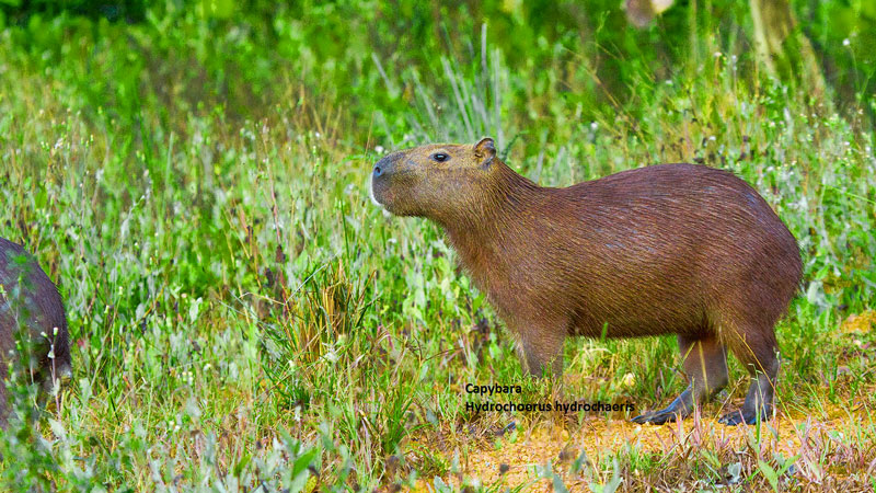 首页| 6008集团官方网站有限公司