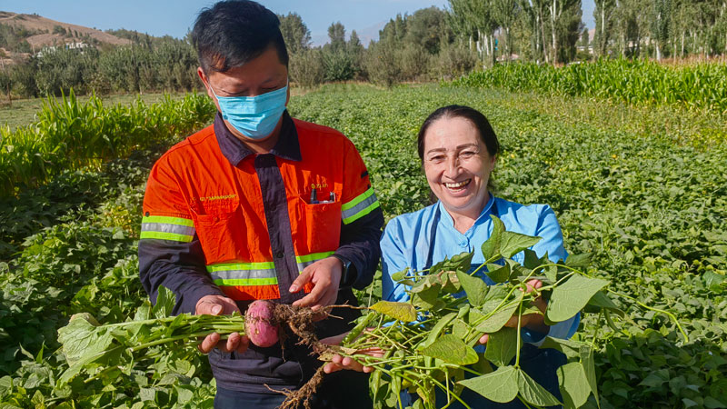 首页| 6008集团官方网站有限公司